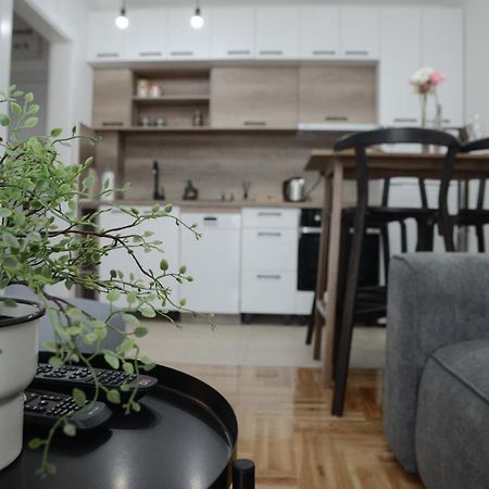 Apartment Dobraya Grey Novi Sad Exterior foto